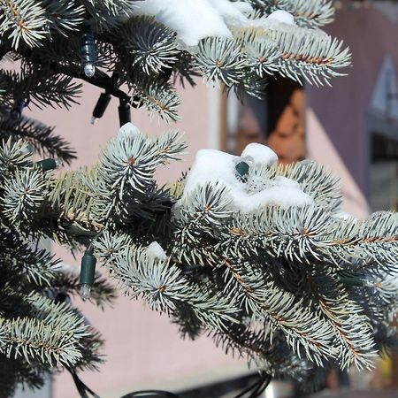 Garni Oasi Hotel Livigno Ngoại thất bức ảnh