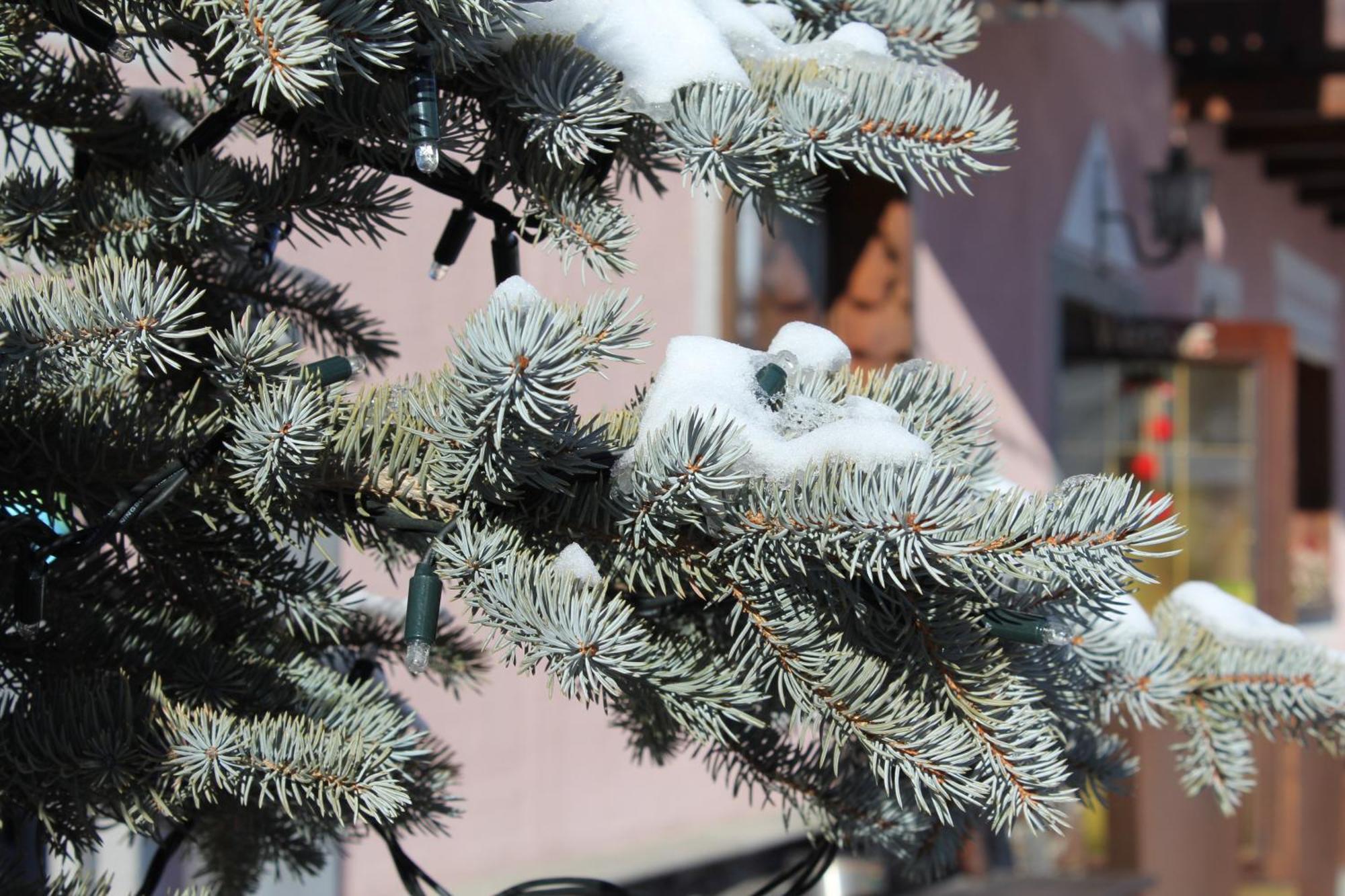 Garni Oasi Hotel Livigno Ngoại thất bức ảnh